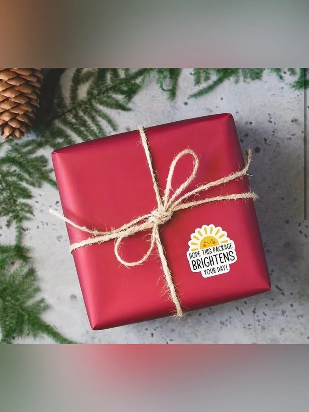 Hope This Package Brightens Your Day Stickers- 100 pieces